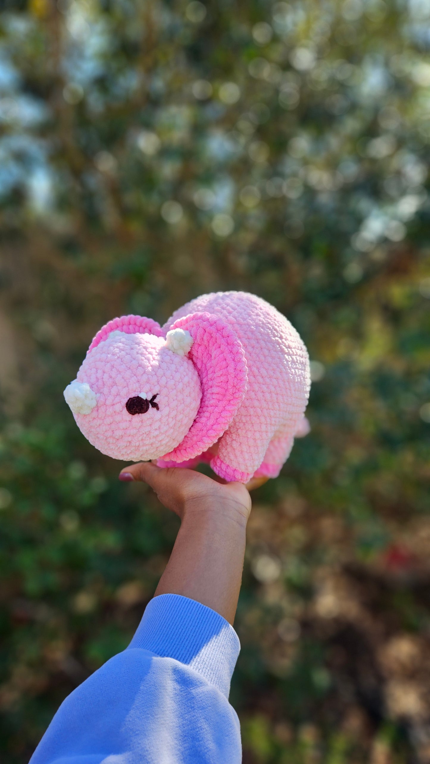 Love Triceratops Plushie